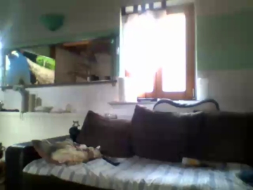 Pitterporz  06-07-2021 Recorded Video XXX